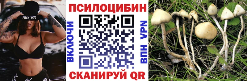 Галлюциногенные грибы MAGIC MUSHROOMS Котельники
